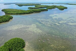 Mangrove Islands