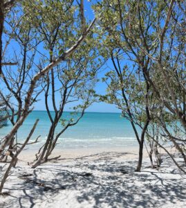 White Sand Beaches